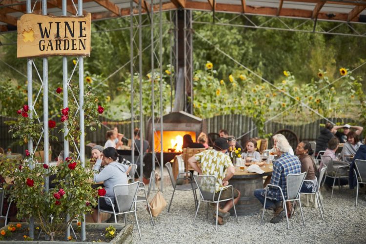 Kinross-wine-garden