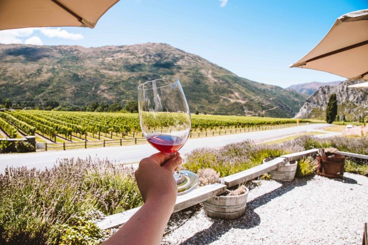 Wine Tasting Mt Rosa