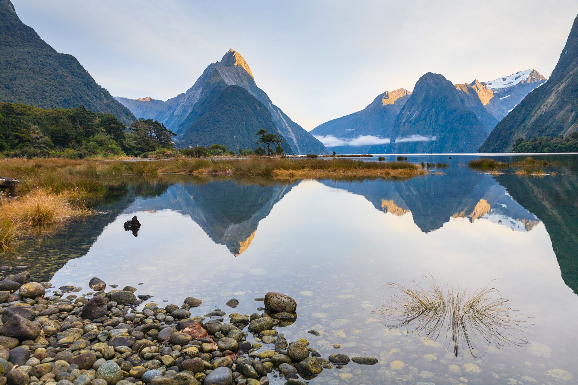 Milford reflections