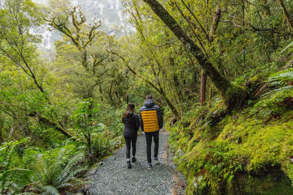 walks, milford road