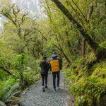 walks, milford road