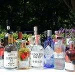 queenstown gin tasting